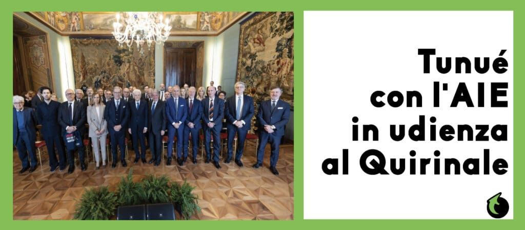 Tunué con l'AIE al Quirinale